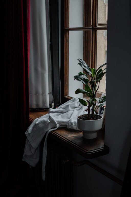 Cum să creezi un colț de relaxare acasă folosind plante de interior